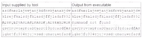 CS0-002 dumps exhibit